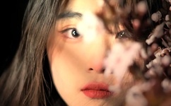 免看黄29分钟继续看